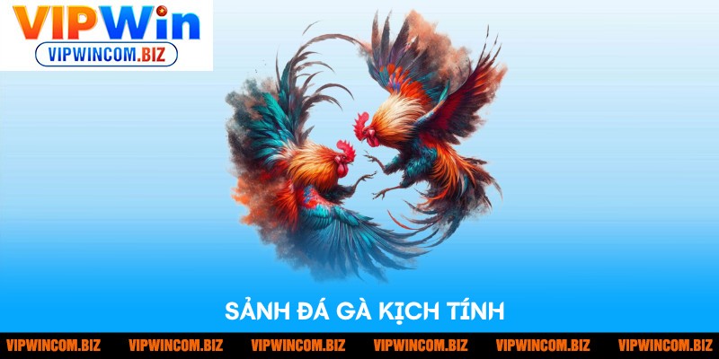 Sảnh đá gà với nhiều màn chọi kê gay cấn