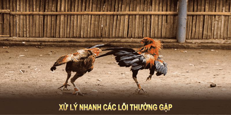 Đá gà tre tại VIPWIN: xử lý nhanh các lỗi thường gặp để không gián đoạn trải nghiệm